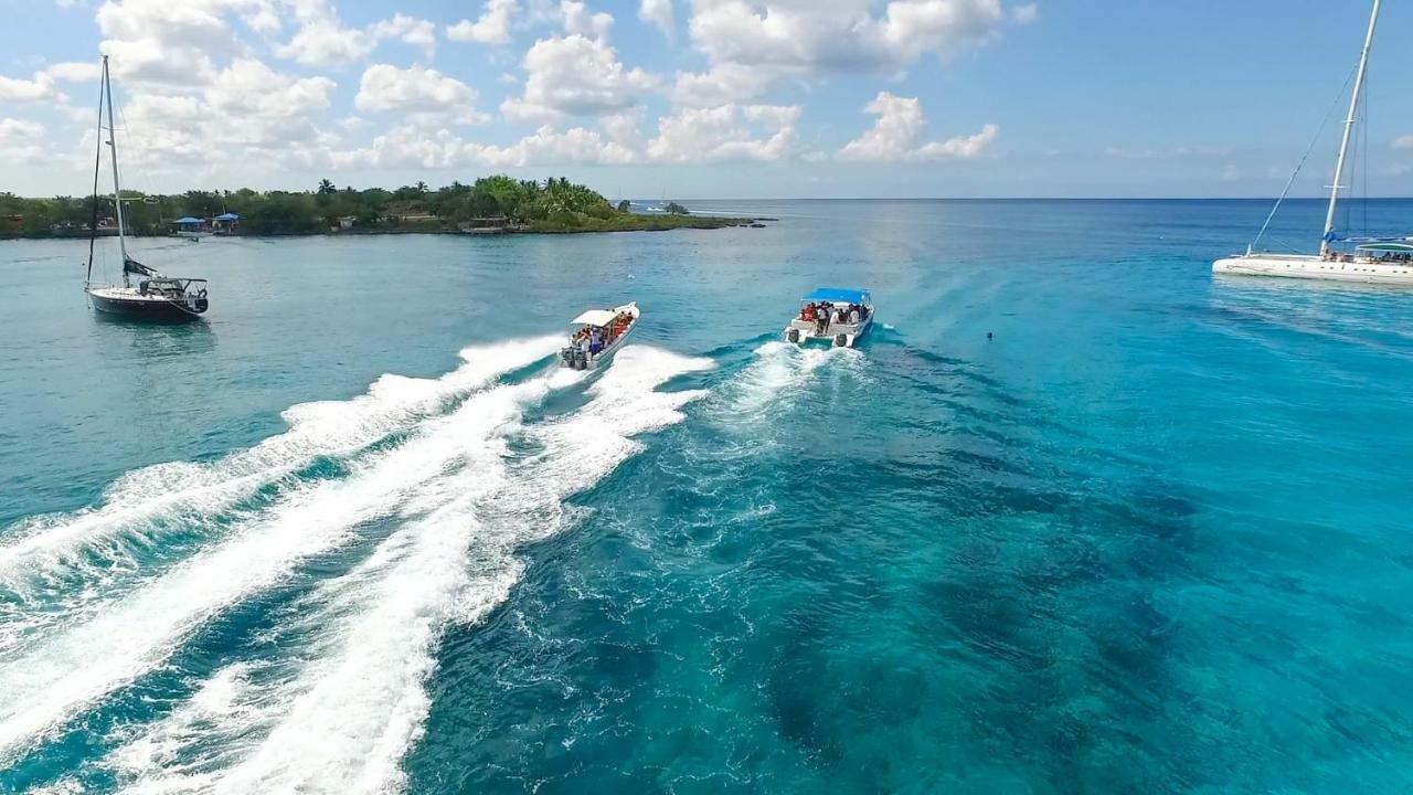 Alkquimia Hotel, Lounge And Bar Bayahibe Εξωτερικό φωτογραφία